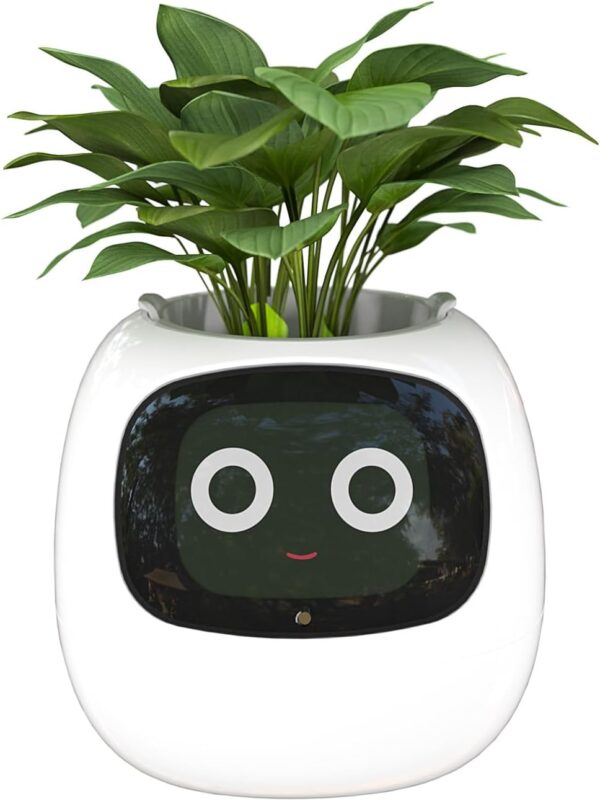 Smart Flowerpots, with Artificial Intelligence - Image 3
