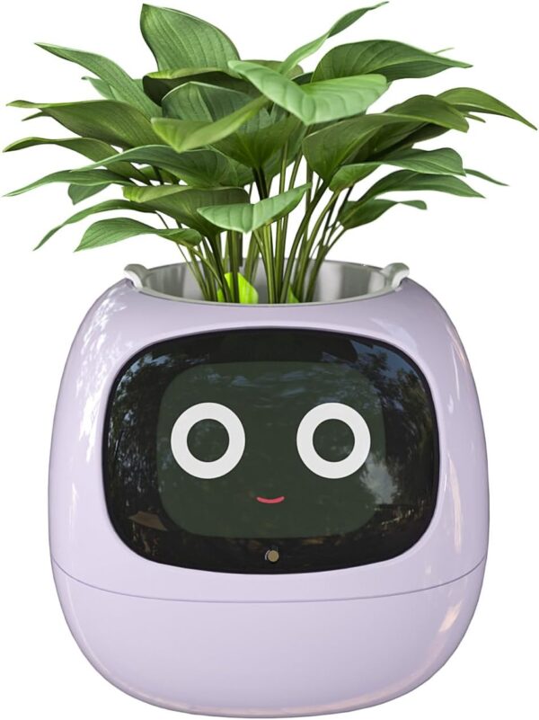 Smart Flowerpots, with Artificial Intelligence - Image 4
