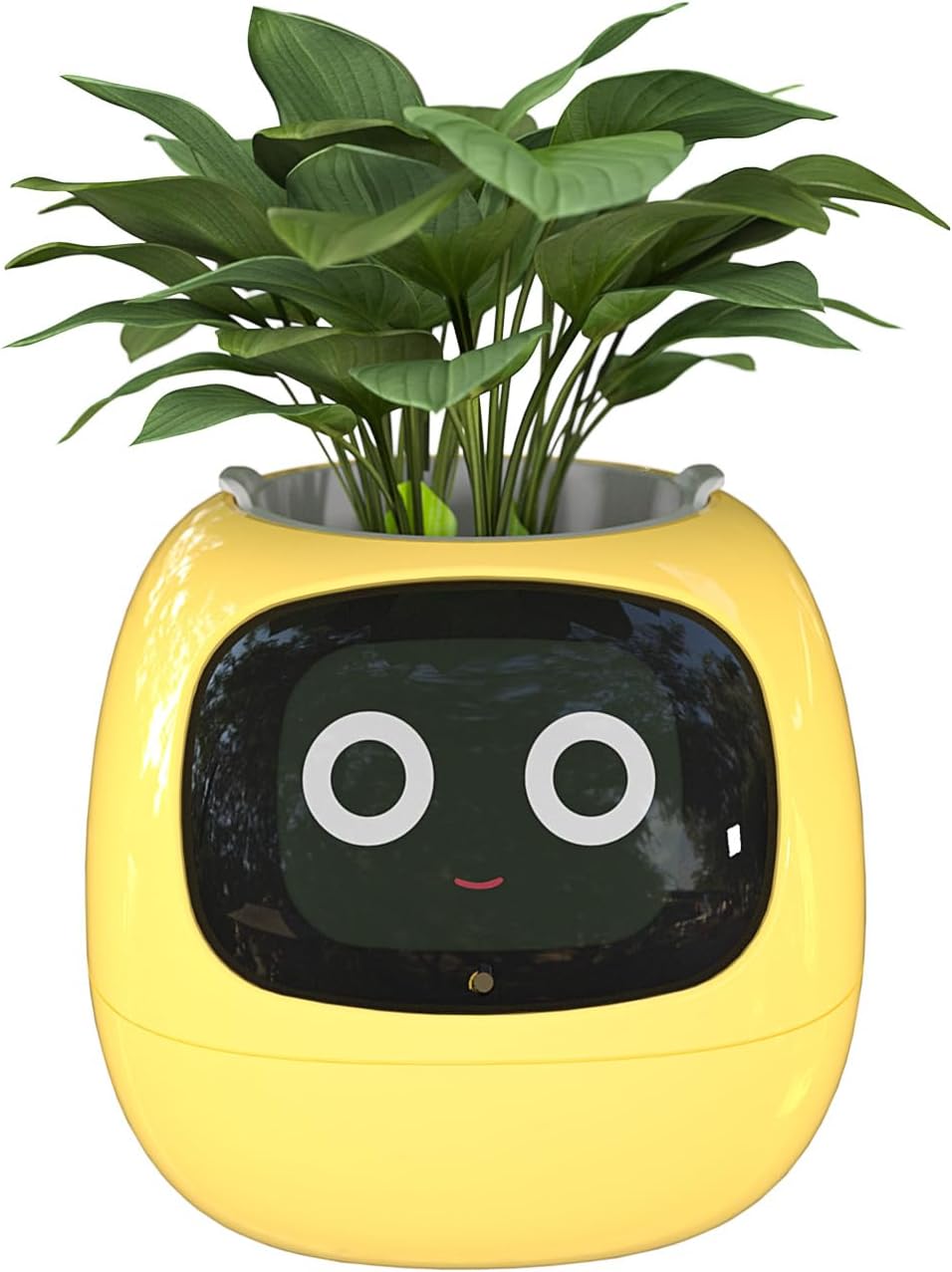61xsCK4p9JL._AC_SL1500.jpg